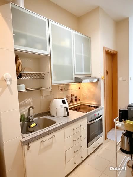 Sunshine Regency, 9 Rambai Road, 1 Bedroom, 452 sqft, Apartment For Rent, by Julian Li, 500173524 - PropertyGuru.com.sg