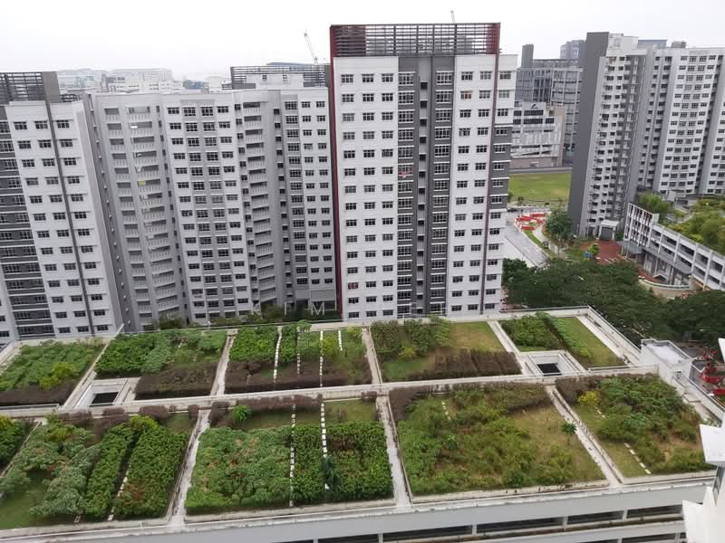 138D Yuan Ching Road, 138D Yuan Ching Road, Room Rental, 120 sqft, HDB Flat For Rent, by Kim Peh, 500173681 - PropertyGuru.com.sg