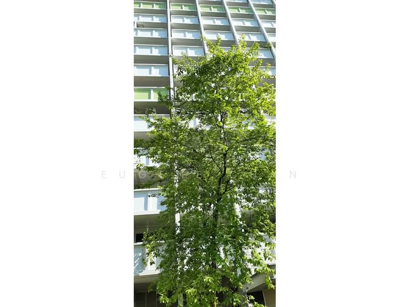 627 Bedok Reservoir Road, 627 Bedok Reservoir Road, 3 Bedrooms, 990 sqft, HDB Flat For Sale, by Eugene Chan, 500173701 - Exterior - PropertyGuru.com.sg