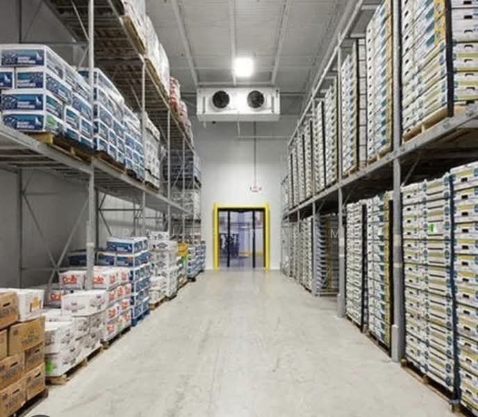 Ground Floor Fitted Cold Room & Chiller, Customised Cold Room / Freezer / Chiller for you, 36,000 sqft, Warehouse For Rent, by Pauleen Lim, 500173827 - Interior - CommercialGuru.com.sg