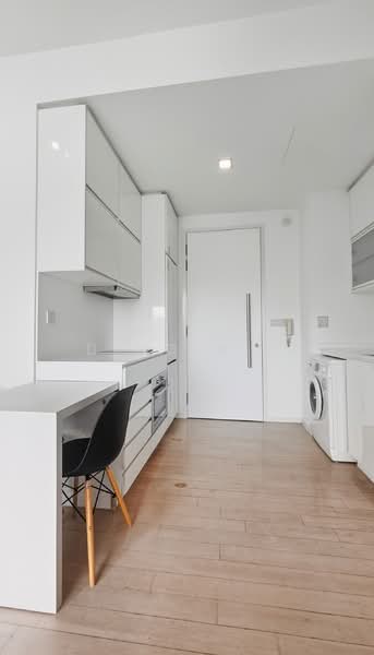 Okio, 262 BALESTIER ROAD, 1 Bedroom, 431 sqft, Condominium For Rent, by Ding S.Z, 500174019 - Kitchen - PropertyGuru.com.sg