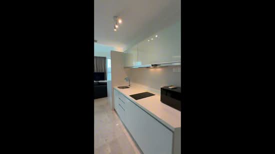 Tribeca by the Waterfront, 60 Kim Seng Road, 1 Bedroom, 570 sqft, Condominium For Rent, by Roseline Chan, 500174081 - PropertyGuru.com.sg