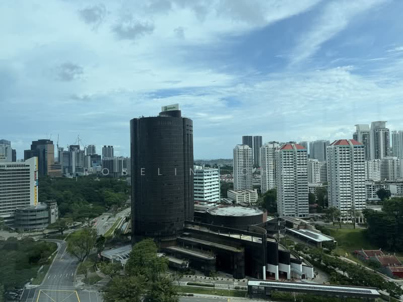 Tribeca by the Waterfront, 60 Kim Seng Road, 1 Bedroom, 570 sqft, Condominium For Rent, by Roseline Chan, 500174081 - Magnificent view - PropertyGuru.com.sg