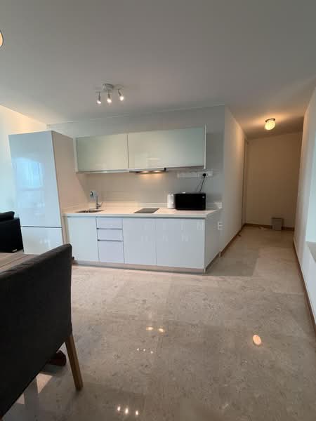 Tribeca by the Waterfront, 60 Kim Seng Road, 1 Bedroom, 570 sqft, Condominium For Rent, by Roseline Chan, 500174081 - Kitchen & Walkway - PropertyGuru.com.sg