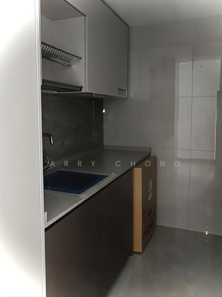 The Botany at Dairy Farm, 3 Dairy Farm Walk, 2 Bedrooms, 743 sqft, Condominium For Rent, by Harry Chong, 500174113 - Kitchen - PropertyGuru.com.sg