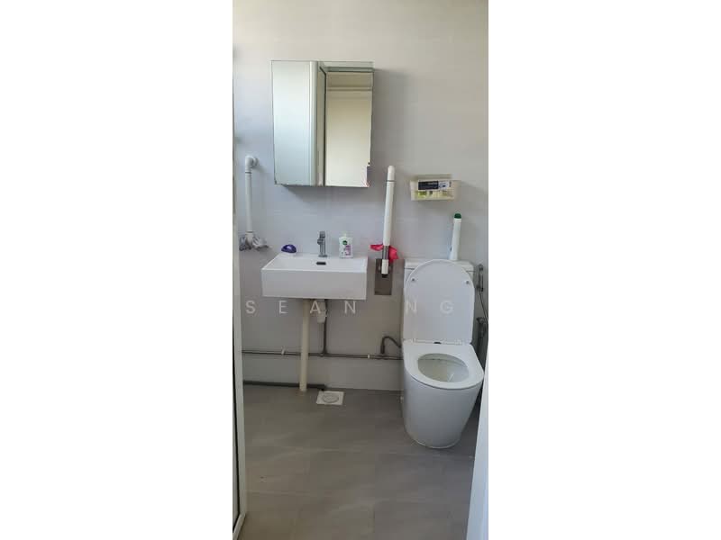 417 Pasir Ris Drive 6, 417 Pasir Ris Drive 6, Room Rental, 260 sqft, HDB Flat For Rent, by Sean NG, 500174968 - Bathroom - PropertyGuru.com.sg