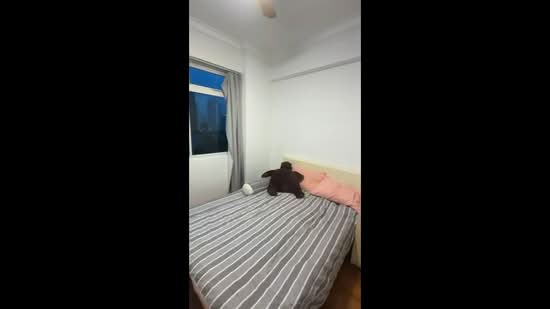 La Crystal, 160 Killiney Road, Room Rental, 120 sqft, Condominium For Rent, by Gupta Sameer Raj, 500174973 - PropertyGuru.com.sg