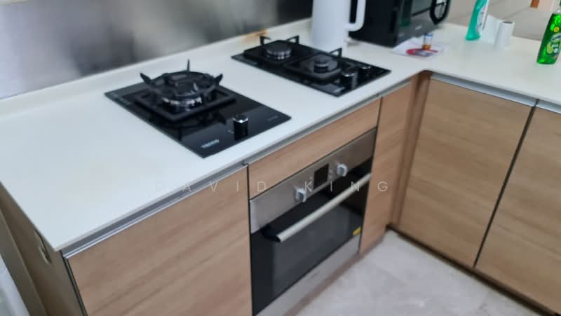Parc Emily, 5 Mount Emily Road, 2 Bedrooms, 893 sqft, Condominium For Sale, by David King, 500175061 - Kitchen - PropertyGuru.com.sg
