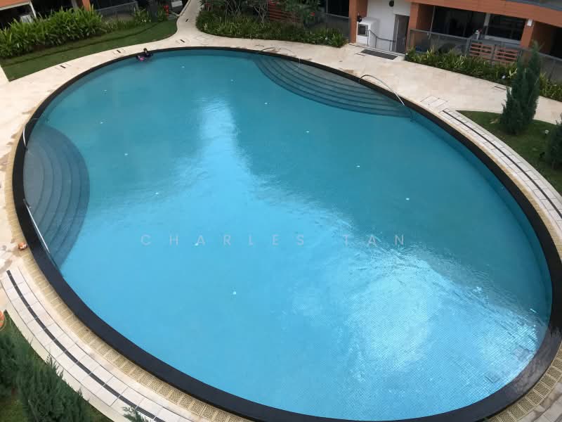 Sophia Hills, 11 Mount Sophia, 2 Bedrooms, 700 sqft, Condominium For Sale, by Charles Tan, 500175296 - Pool - PropertyGuru.com.sg