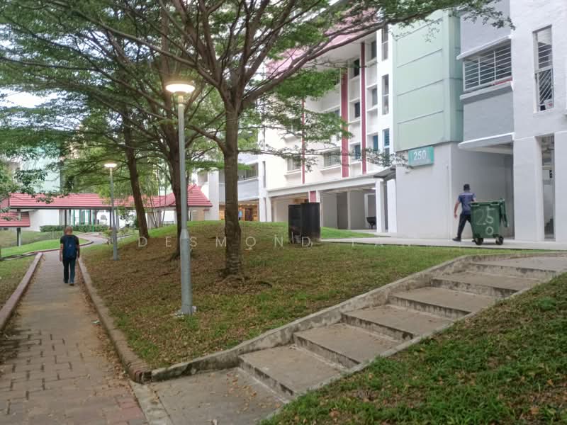 250 Tampines Street 21, 250 Tampines Street 21, 2 Bedrooms, 796 sqft, HDB Flat For Sale, by Desmond Tan, 500175348 - PropertyGuru.com.sg