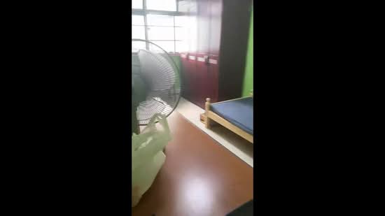 45 Jalan Tiga, 45 Jalan Tiga, Room Rental, 175 sqft, HDB Flat For Rent, by Simon Por, 500175430 - PropertyGuru.com.sg