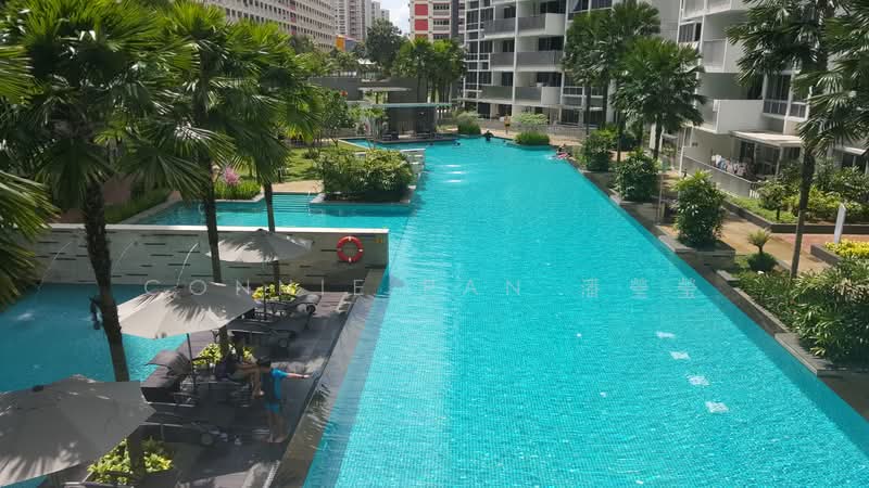 Oasis @ Elias, 62 Elias Road, Room Rental, 100 sqft, Condominium For Rent, by Connie Pan 潘瑩瑩, 500175853 - Pool - PropertyGuru.com.sg