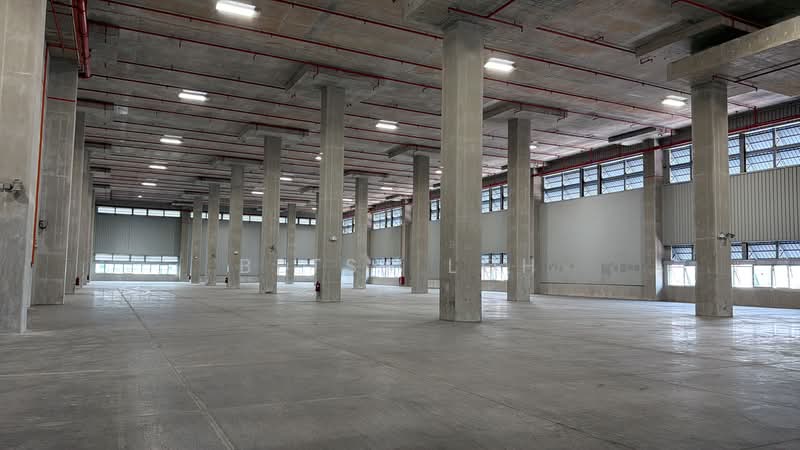 8m Clear Height, 6 Dedicated Loading Bays - Warehouse @ Jurong, , 50,000 sqft, Warehouse For Rent, by Betsy Loh, 500175896 - Interior - CommercialGuru.com.sg