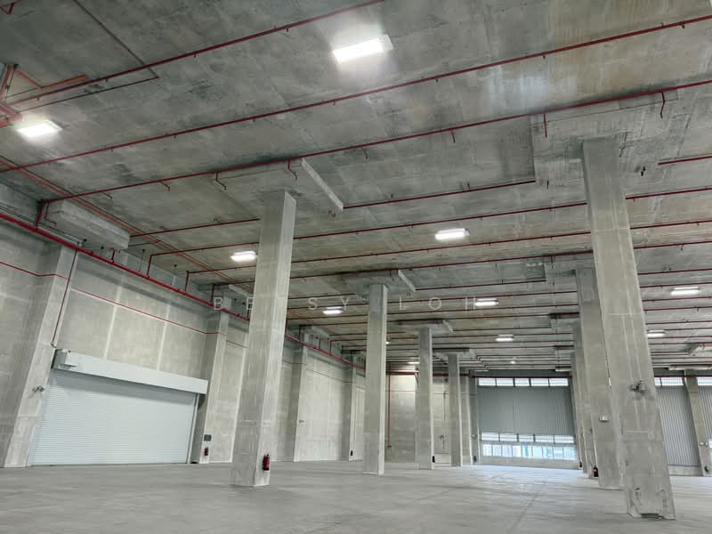 8m Clear Height, 6 Dedicated Loading Bays - Warehouse @ Jurong, , 50,000 sqft, Warehouse For Rent, by Betsy Loh, 500175896 - Interior - CommercialGuru.com.sg