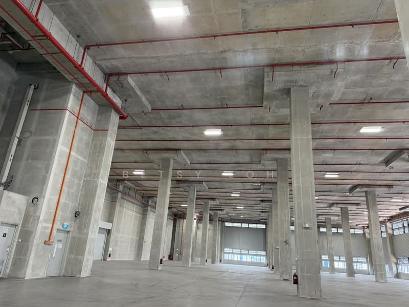8m Clear Height, 6 Dedicated Loading Bays - Warehouse @ Jurong, , 50,000 sqft, Warehouse For Rent, by Betsy Loh, 500175896 - Interior - CommercialGuru.com.sg