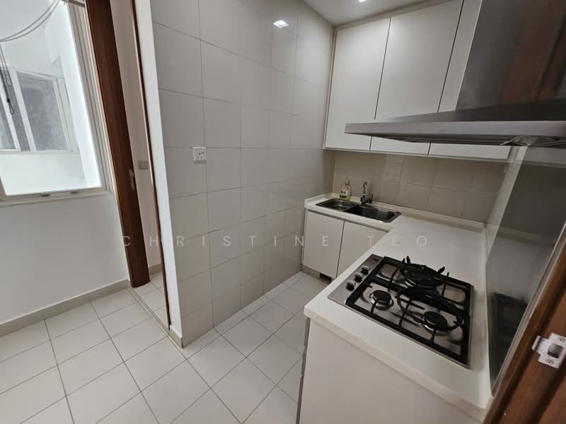 Saint Thomas Suites, 33 St Thomas Walk, 4 Bedrooms, 2,013 sqft, Condominium For Rent, by Christine Teo, 500176470 - Kitchen - PropertyGuru.com.sg