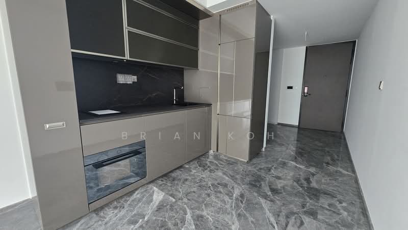 One Bernam, 1 Bernam Street, 2 Bedrooms, 829 sqft, Condominium For Rent, by Brian Koh, 500176917 - Kitchen - PropertyGuru.com.sg