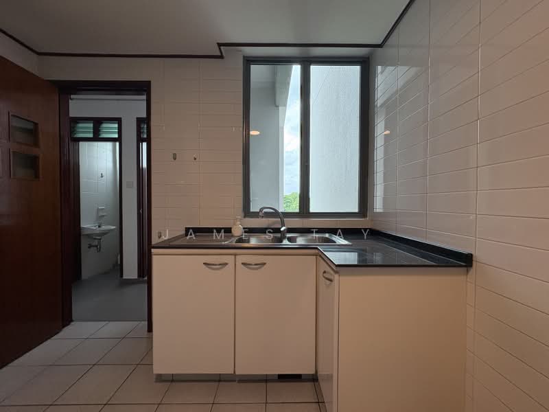 Springdale Condo, 51 Hindhede Walk, 3 Bedrooms, 1,130 sqft, Condominium For Sale, by James Tay, 500177035 - Kitchen - PropertyGuru.com.sg