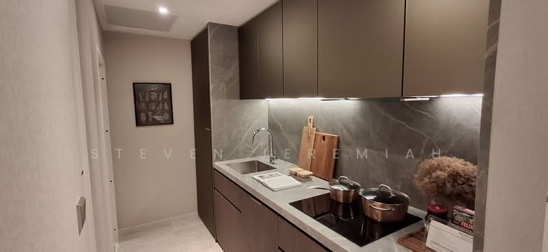 Newport Residences, 80 Anson Road, 1 Bedroom, 452 sqft, Apartment For Sale, by Steven Jeremiah, 500177319 - Kitchen - PropertyGuru.com.sg
