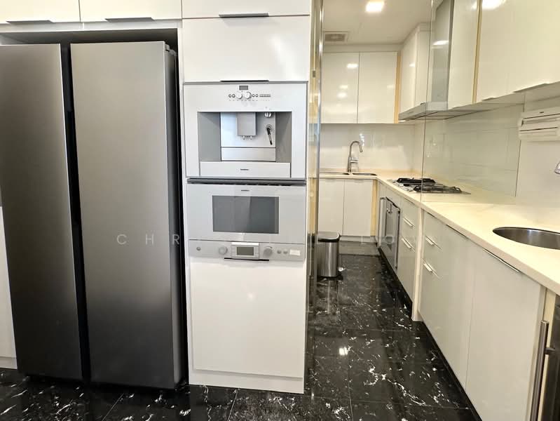 Orchard Scotts, 3 Anthony Road, 4 Bedrooms, 2,497 sqft, Condominium For Sale, by Christine Low, 500177504 - Kitchen - PropertyGuru.com.sg