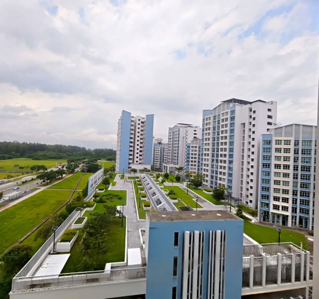 661A Edgedale Plains, 661A Edgedale Plains, 3 Bedrooms, 990 sqft, HDB Flat For Sale, by Jenny Tan 小陈, 500177621 - View from the Service Yard - PropertyGuru.com.sg