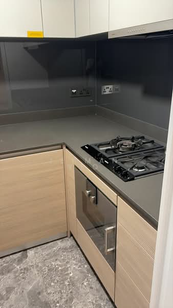 Riviere, 1 Jiak Kim Street, 3 Bedrooms, 1,173 sqft, Condominium For Rent, by Jesman Yeo, 500177831 - Kitchen - PropertyGuru.com.sg