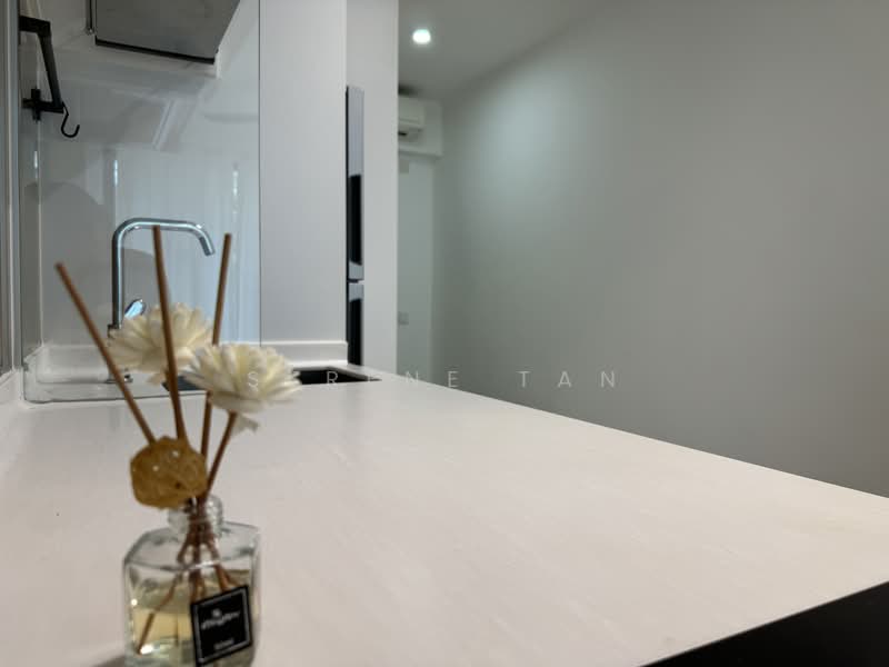 Treasure at Tampines, 57 Tampines Lane, 2 Bedrooms, 581 sqft, Condominium For Rent, by Serene Tan, 500177995 - Kitchen - PropertyGuru.com.sg