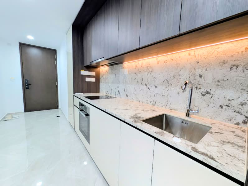Tembusu Grand, 92 Jalan Tembusu, 1 Bedroom, 527 sqft, Condominium For Rent, by Ray Lee, 500178197 - Kitchen - PropertyGuru.com.sg