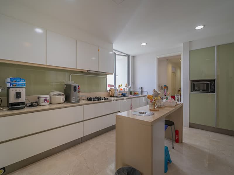 The Trillium, 118 Kim Seng Road, 4 Bedrooms, 2,217 sqft, Condominium For Sale, by Deliana Lee, 500178260 - Kitchen - PropertyGuru.com.sg