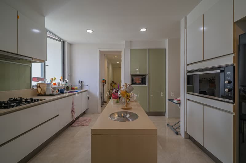 The Trillium, 118 Kim Seng Road, 4 Bedrooms, 2,217 sqft, Condominium For Sale, by Deliana Lee, 500178260 - Kitchen - PropertyGuru.com.sg