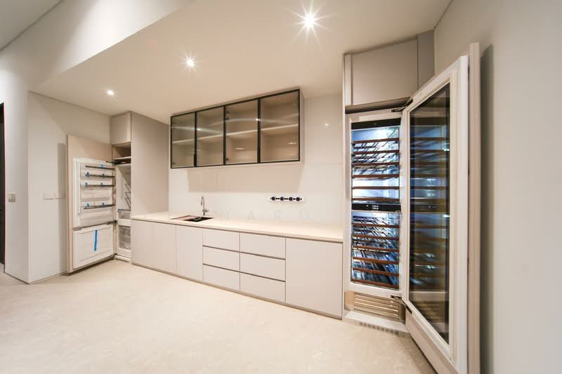 Holland Grove Park Mount Sinai / Grove Drive / Holland Park, , 7 Bedrooms, 10,000 sqft, Bungalow House For Sale, by Leonard Lee, 500178405 - Kitchen - PropertyGuru.com.sg