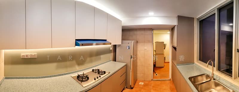 UE Square, 205 River Valley Road, 4 Bedrooms, 1,927 sqft, Apartment For Rent, by Tara Ting 陈莲香, 500178409 - Kitchen - PropertyGuru.com.sg