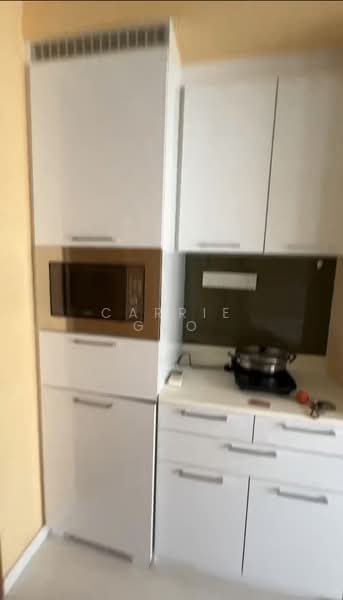 Trilive, 115 Tampines Road, Studio, 250 sqft, Condominium For Rent, by Carrie Guo, 500178488 - Kitchen - PropertyGuru.com.sg