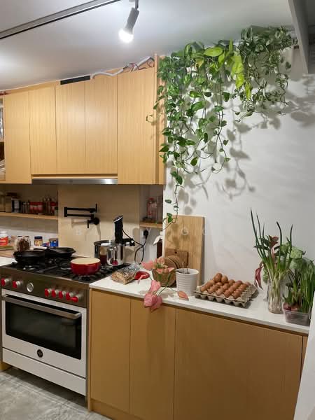 11 Holland Drive, 11 Holland Drive, 1 Bedroom, 700 sqft, HDB Flat For Sale, by Billy Goh, 500178587 - Kitchen - PropertyGuru.com.sg