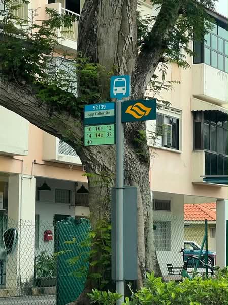 Villa Martia, 11 Martia Road, Room Rental, 300 sqft, Condominium For Rent, by Yenn Ni, 500178817 - PropertyGuru.com.sg