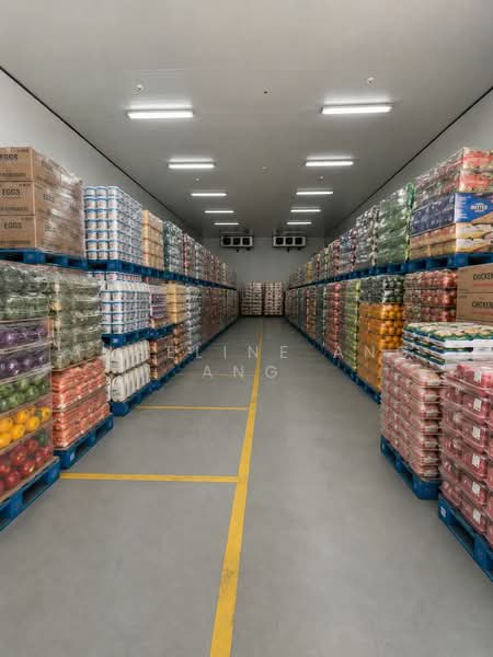 Woodlands Link, Woodlands Link, 1,912 sqft, Light Industrial (B1) For Rent, by Angeline Ang Ang, 500178860 - Interior - CommercialGuru.com.sg
