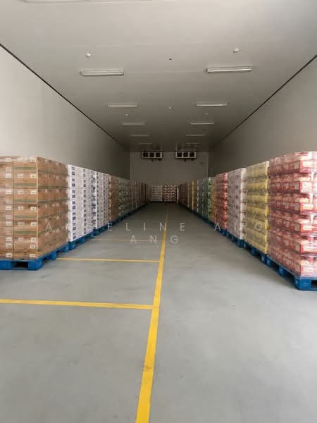Woodlands Link, Woodlands Link, 1,912 sqft, Light Industrial (B1) For Rent, by Angeline Ang Ang, 500178860 - Interior - CommercialGuru.com.sg