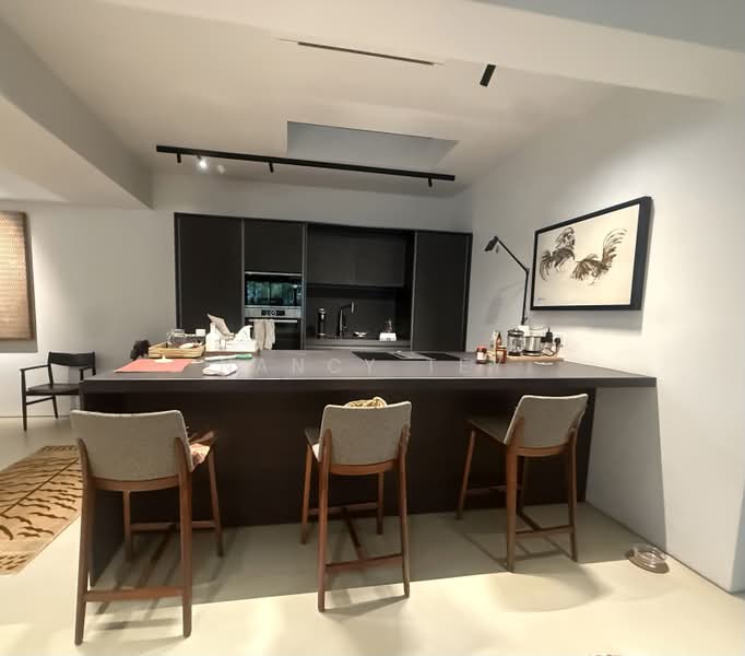 University Road / Capitol park, Jalan Sejarah, 4 Bedrooms, 3,500 sqft, Semi-Detached House For Sale, by Nancy Tey, 500179067 - Kitchen - PropertyGuru.com.sg