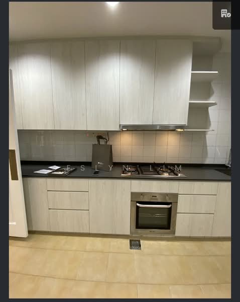Leonie Condotel, 2 Leonie Hill Road, 4 Bedrooms, 2,722 sqft, Condominium For Rent, by Jeslyn Lim, 500179143 - Kitchen - PropertyGuru.com.sg