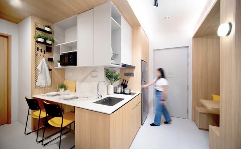 336 River Valley Road Service Apartment, , Room Rental, 250 sqft, Apartment For Rent, by Rick Khiantani, 500179254 - Kitchen - PropertyGuru.com.sg