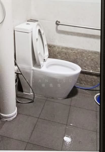 518 Bedok North Avenue 2, 518 Bedok North Avenue 2, Room Rental, 150 sqft, HDB Flat For Rent, by Alan Tsui 徐先生, 500179415 - Bathroom - PropertyGuru.com.sg