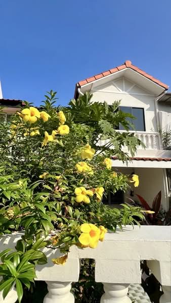 East Coast Road, East Coast Road, Katong,, 4 Bedrooms, 2,411 sqft, Terraced House For Sale, by Joy Chung, 500179733 - 2-storey Terrace - PropertyGuru.com.sg