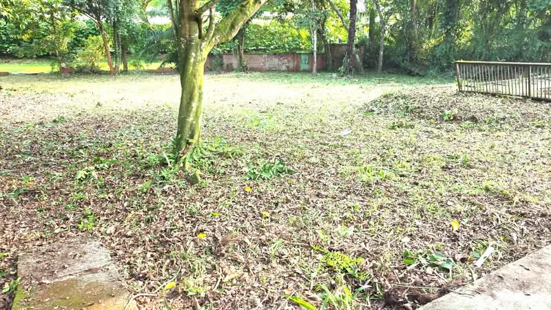 ✪ ANDREW ROAD BEAUTIFUL LAND FOR REBUILT PLOT ✪ only $1xxx Psf YET NEG ✪ GENUINE LISTING, Andrew Road, Newton / Novena, Studio, 5,500 sqft, Good Class Bungalow For Sale, by Joanne Lai, 500179817 - Exterior - PropertyGuru.com.sg
