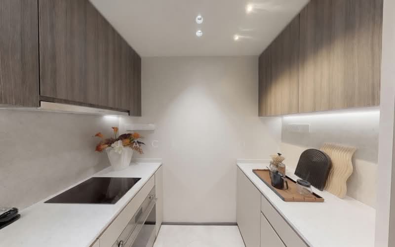 Hudson Place Residences, , 2 Bedrooms, 687 sqft, Condominium For Sale, by Jack Leow, 500180104 - Kitchen - PropertyGuru.com.sg