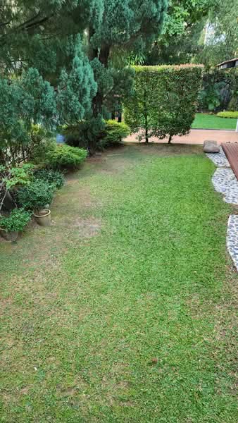 jalan sampurna, Jalan Sampurna, 5 Bedrooms, 5,000 sqft, Detached House For Rent, by Johnnie Han, 500180446 - Garden - PropertyGuru.com.sg
