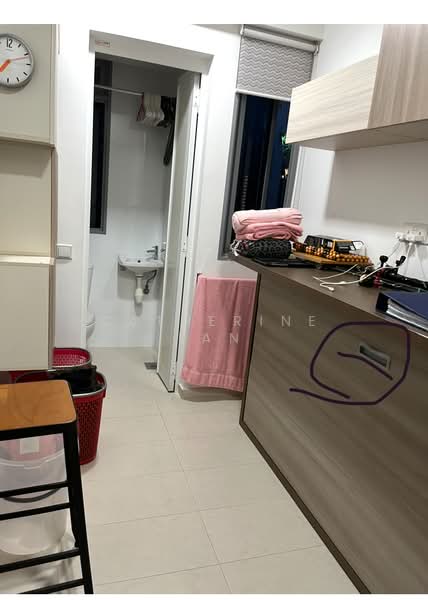 RiverTrees Residences, 21 Fernvale Close, Room Rental, 80 sqft, Condominium For Rent, by Catherine Lan, 500180933 - Bathroom - PropertyGuru.com.sg