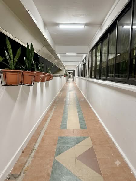 51 New Upper Changi Road, 51 New Upper Changi Road, 3 Bedrooms, 904 sqft, HDB Flat For Sale, by Jean Wu, 500180963 - Corridor - PropertyGuru.com.sg