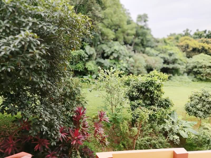 Northill, Jalan Kasau, 6 Bedrooms, 3,500 sqft, Semi-Detached House For Sale, by Albert Peh, 500180975 - Exterior - PropertyGuru.com.sg