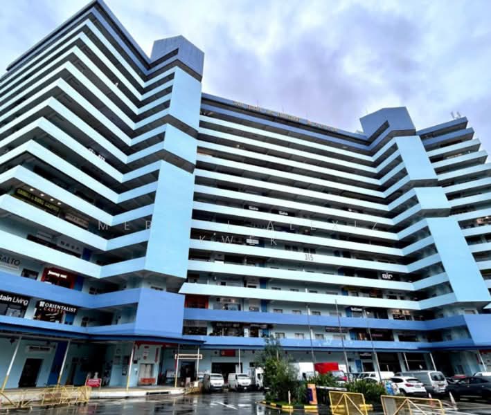 Tan Boon Liat Building, 315 Outram Road, 4,170 sqft, Light Industrial (B1) For Rent, by Meriell Alexiz Kwek, 500181209 - Exterior - CommercialGuru.com.sg