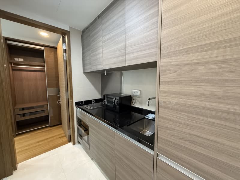 8 Saint Thomas, 8 Saint Thomas Walk, 1 Bedroom, 441 sqft, Condominium For Sale, by George Wong, 500181333 - Kitchen - PropertyGuru.com.sg
